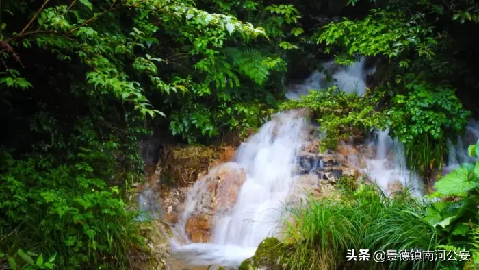 有关夏天的诗有哪些（描写夏天的古诗大全） 第11张