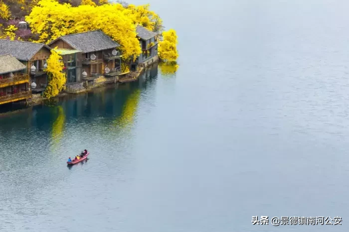有关夏天的诗有哪些（描写夏天的古诗大全） 第15张
