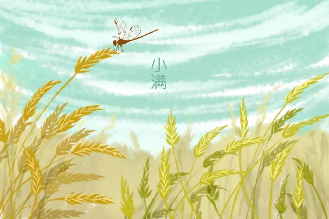 描写小满的诗句（关于小满的著名诗句） 第3张