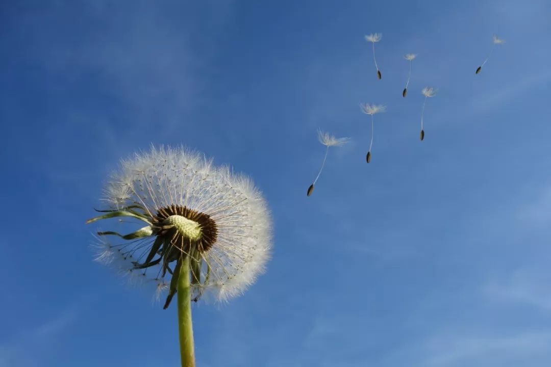 爱情名诗名句大全（浪漫的爱情诗句分享） 第15张