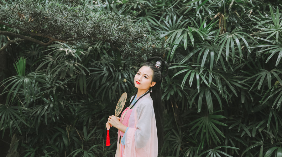 汉乐府的诗有哪些（汉乐府著名的诗词欣赏） 第7张