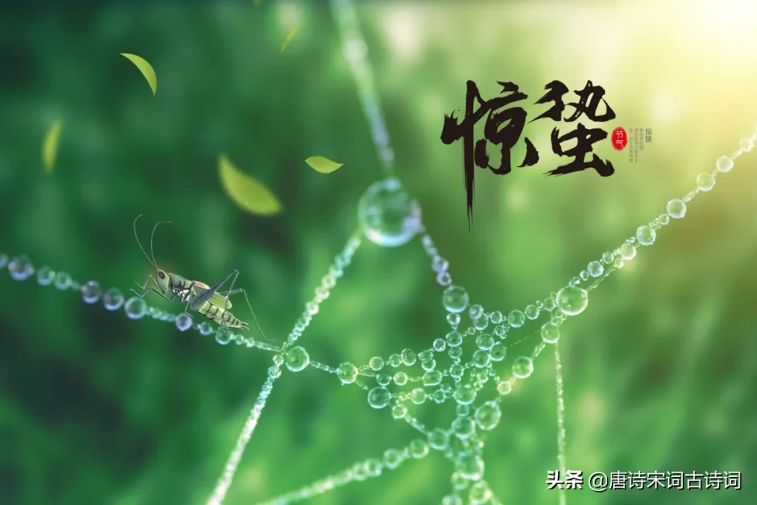 描写惊蛰节气的古诗（关于惊蛰的诗词唯美） 第9张