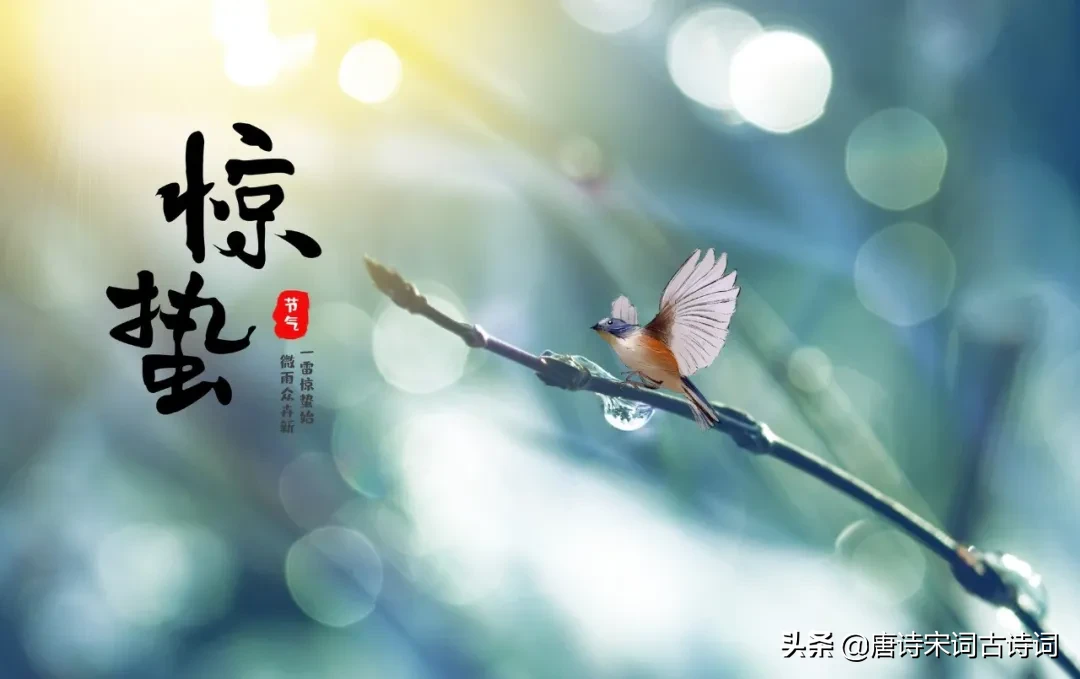 描写惊蛰节气的古诗（关于惊蛰的诗词唯美） 第15张
