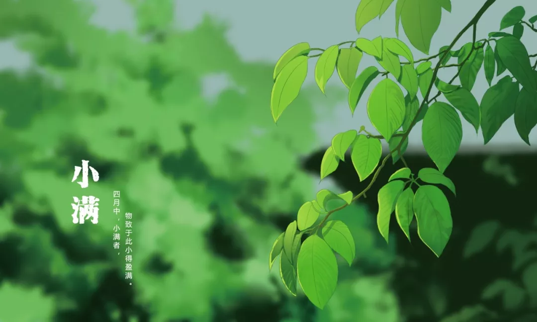 二十四节气小满古诗（小满节气的诗词集锦） 第1张