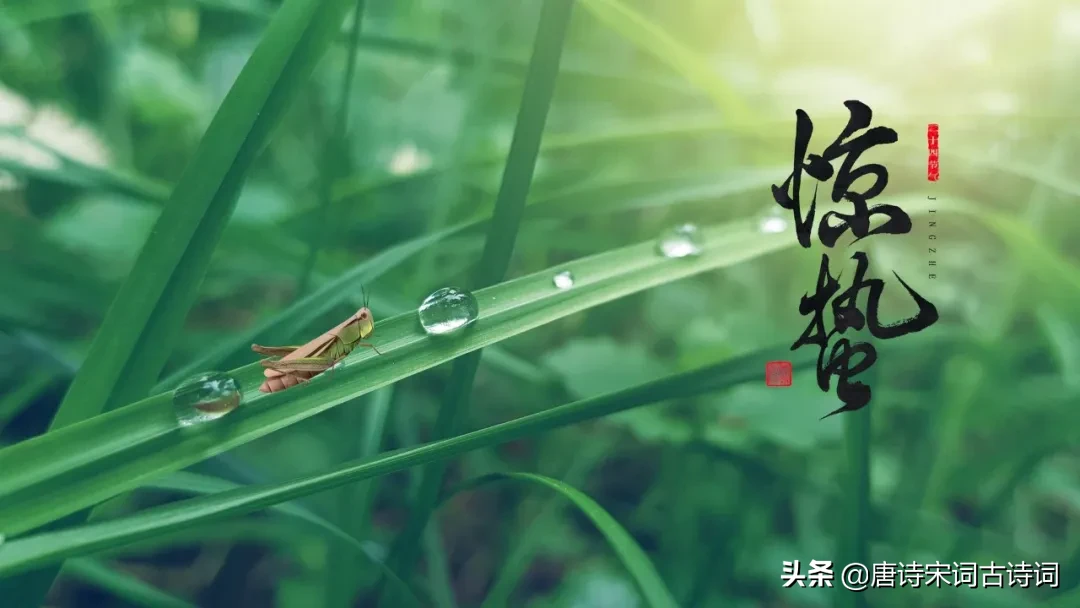 描写惊蛰节气的古诗词有哪些（和惊蛰节气有关的诗句分享） 第1张