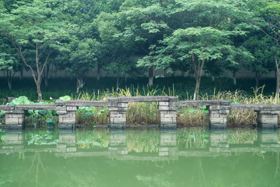 关于夏至的诗歌有哪些（夏至节气古诗大全） 第17张