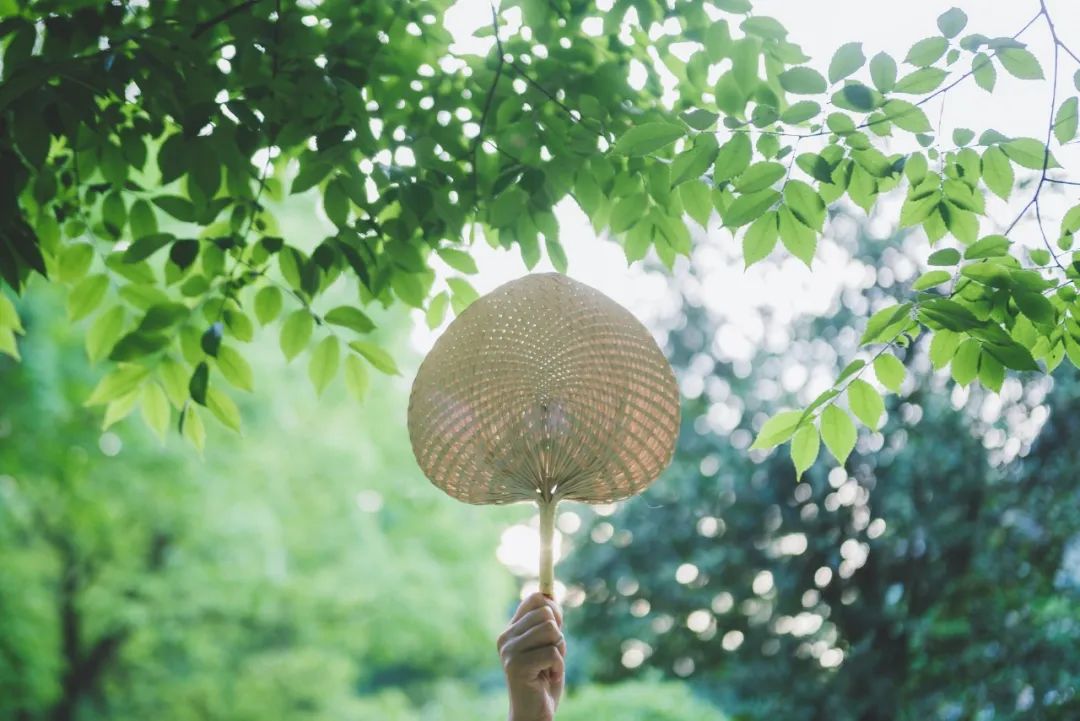 关于夏至的诗歌有哪些（夏至节气古诗大全） 第19张