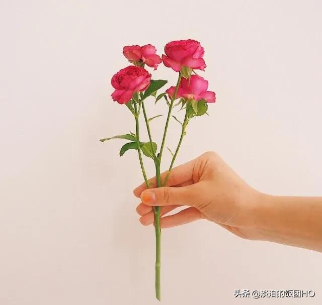 圣诞节祝福语句子（关于圣诞节的文案） 第1张