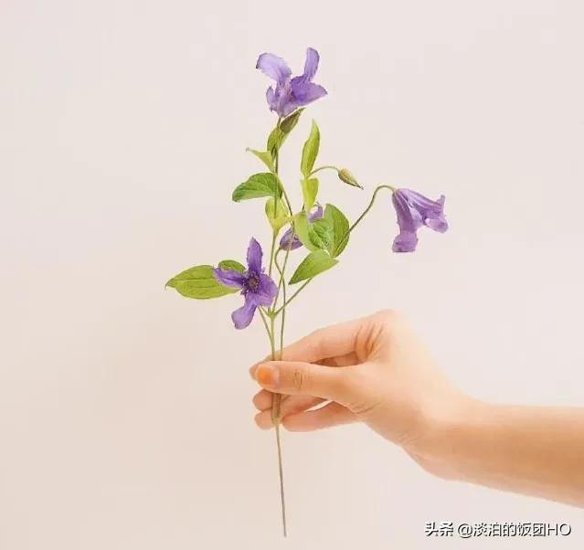 圣诞节祝福语句子（关于圣诞节的文案） 第5张