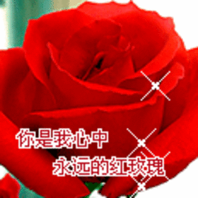 20祝福语最温馨的话（感恩祝福短语最温馨的话）"