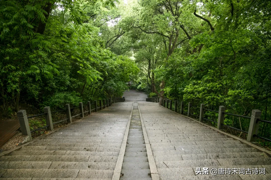天街小雨润如酥全诗（描写春雨的诗句古诗） 第1张