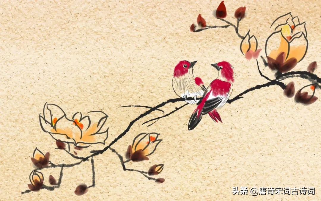 辛弃疾的诗词名句（辛弃疾最出名的词句） 第9张