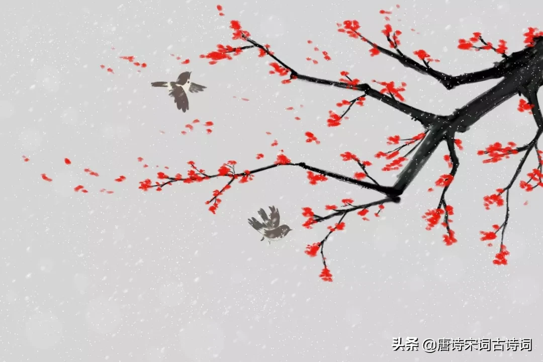 辛弃疾的诗词名句（辛弃疾最出名的词句） 第17张