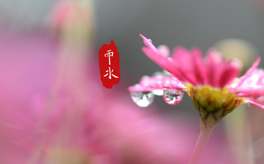 雨水的诗句有哪些（关于雨水节气的诗） 第11张