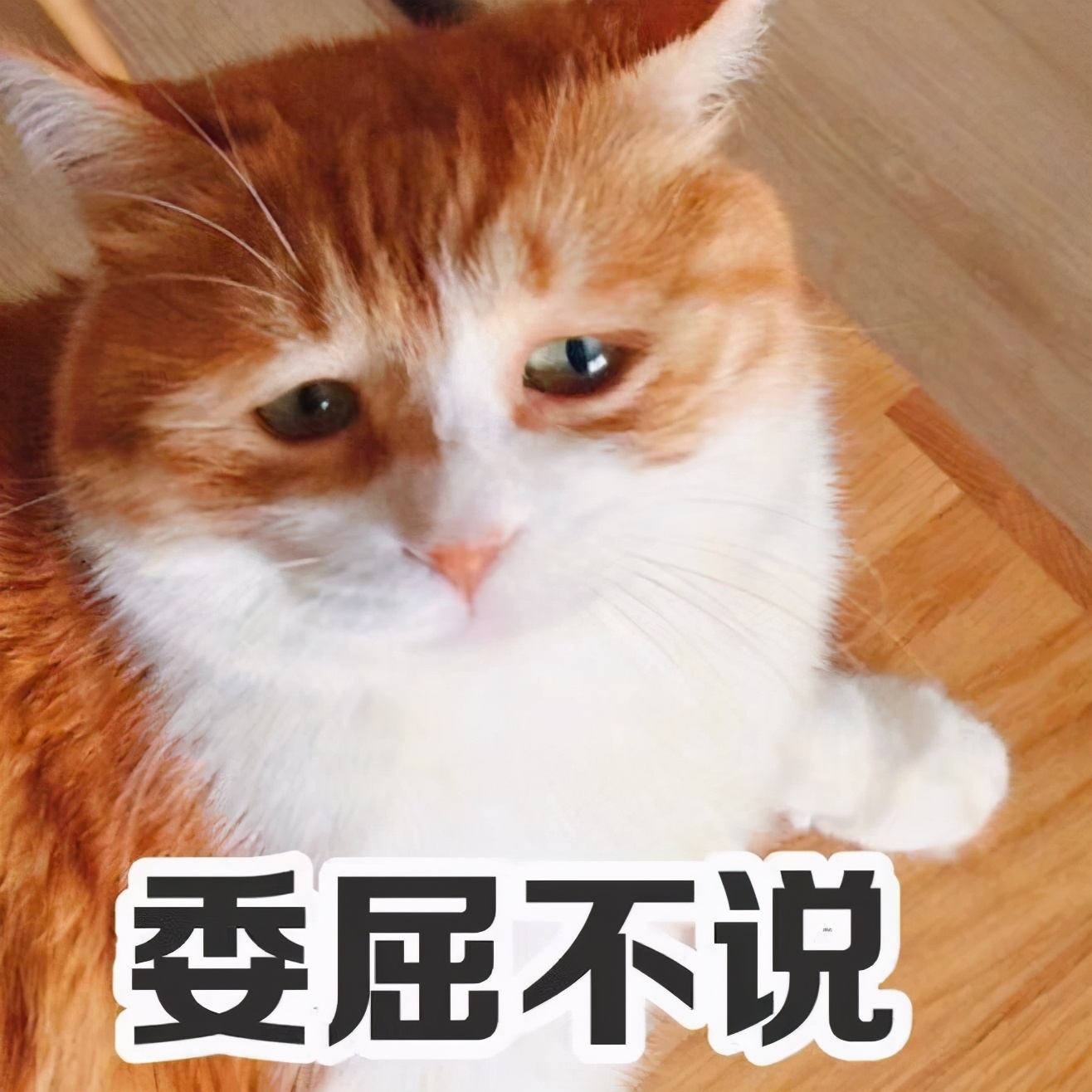 上班不易，盘点普通人可做的10个赚钱副业，内附方法，建议收藏 第11张