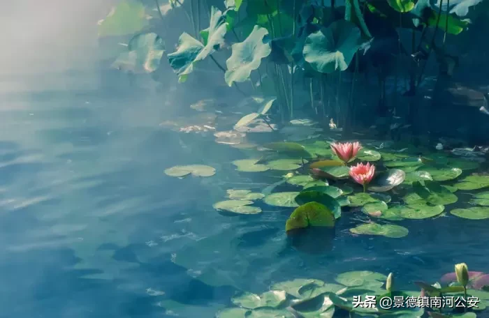 关于夏天的诗句古诗（有关夏天的诗句古诗大全） 第1张