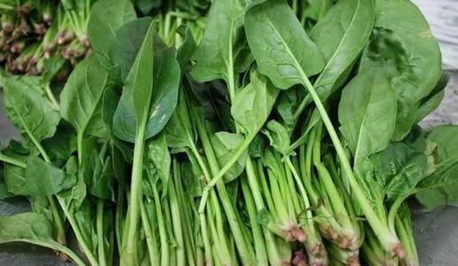 菠菜涨价背后，或将影响阿里美团的命运。 第1张