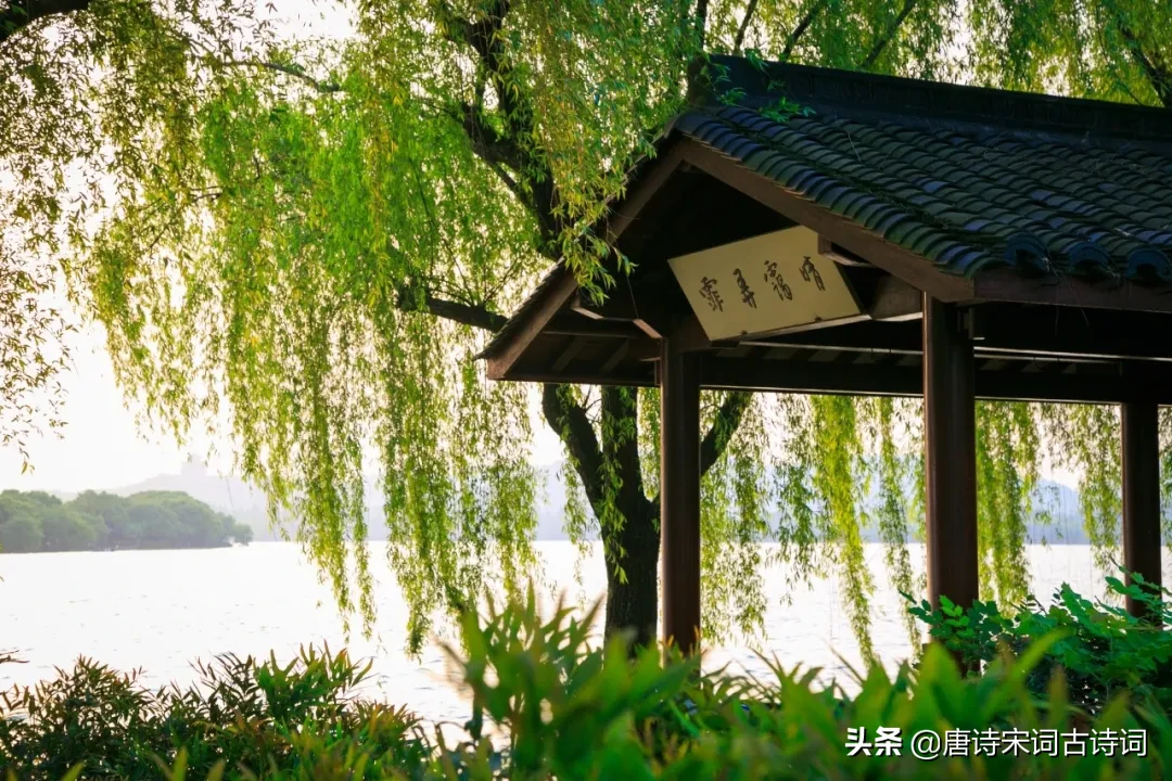 描写春分的古诗四句（关于春分的经典诗句） 第19张