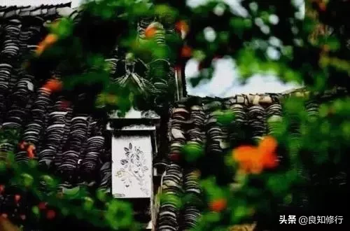茶古诗词名句赏析（茶文化最著名的诗句） 第11张