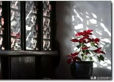 茶古诗词名句赏析（茶文化最著名的诗句） 第13张