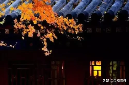 茶古诗词名句赏析（茶文化最著名的诗句） 第15张