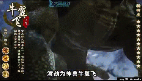 怕了！以前是网上冲浪，现在是“韭死一生”…… 第15张