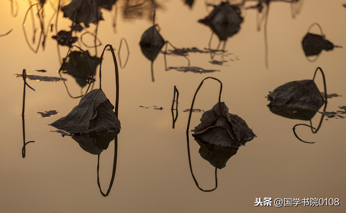 春天的古诗有哪些（描写春天的古诗词欣赏） 第1张
