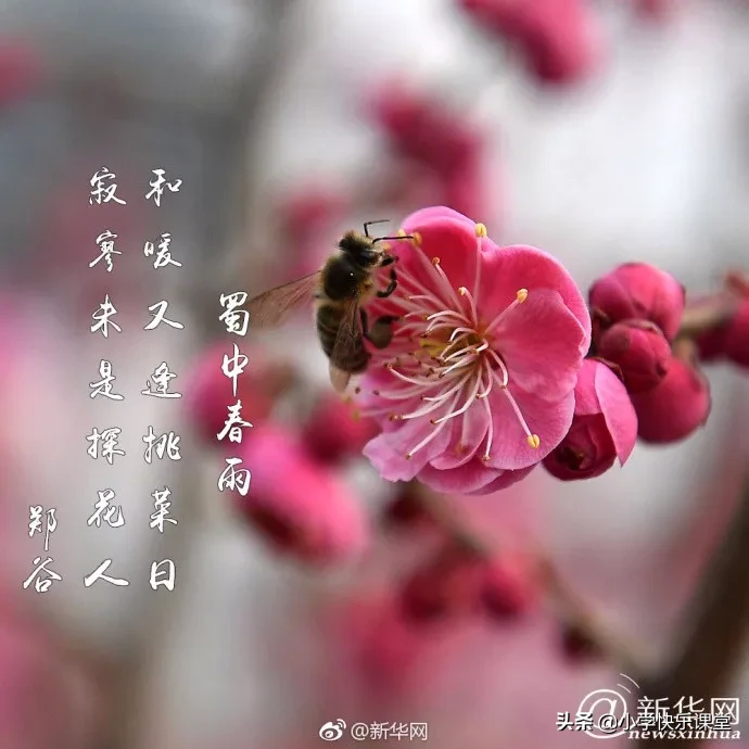 关于二月二龙抬头的古诗（有关龙抬头的诗句古诗） 第9张