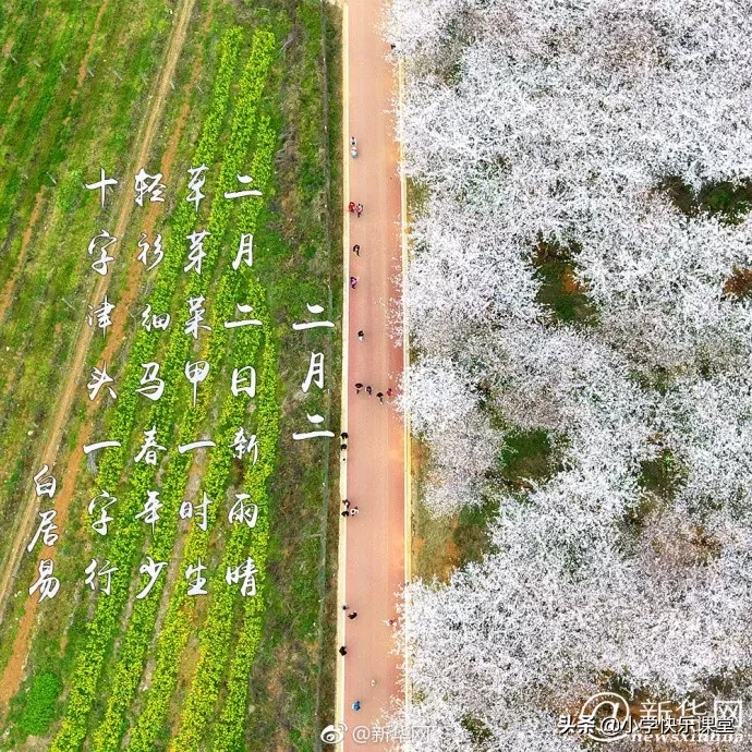 关于二月二龙抬头的古诗（有关龙抬头的诗句古诗） 第13张