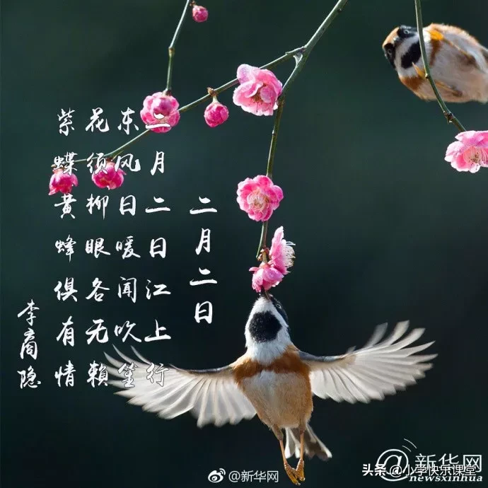 关于二月二龙抬头的古诗（有关龙抬头的诗句古诗） 第15张
