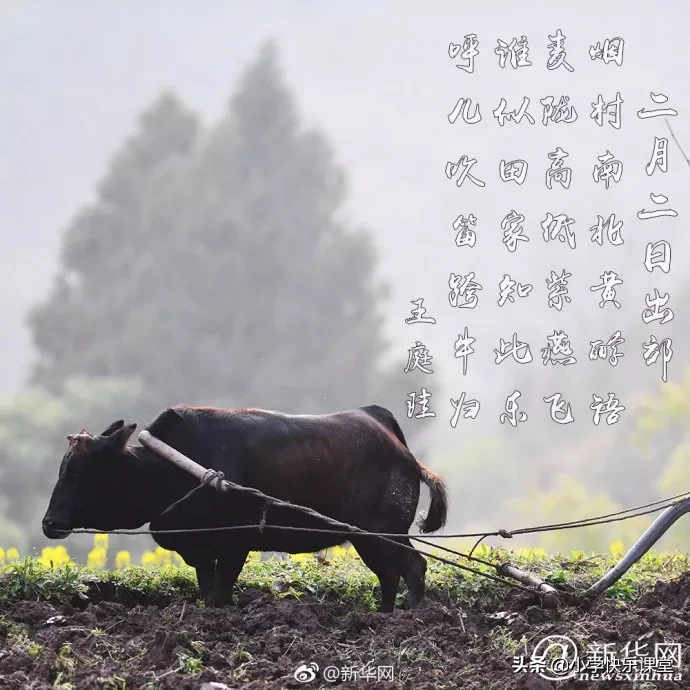 关于二月二龙抬头的古诗（有关龙抬头的诗句古诗） 第17张