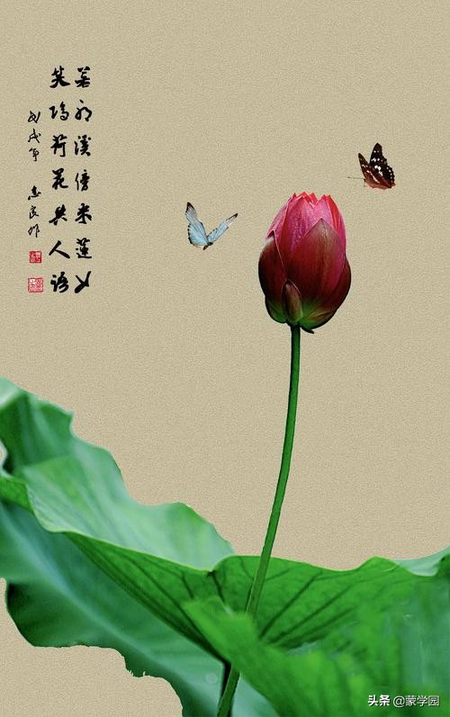 关于春夏秋冬的诗句（关于春夏秋冬的诗句古诗大全） 第7张