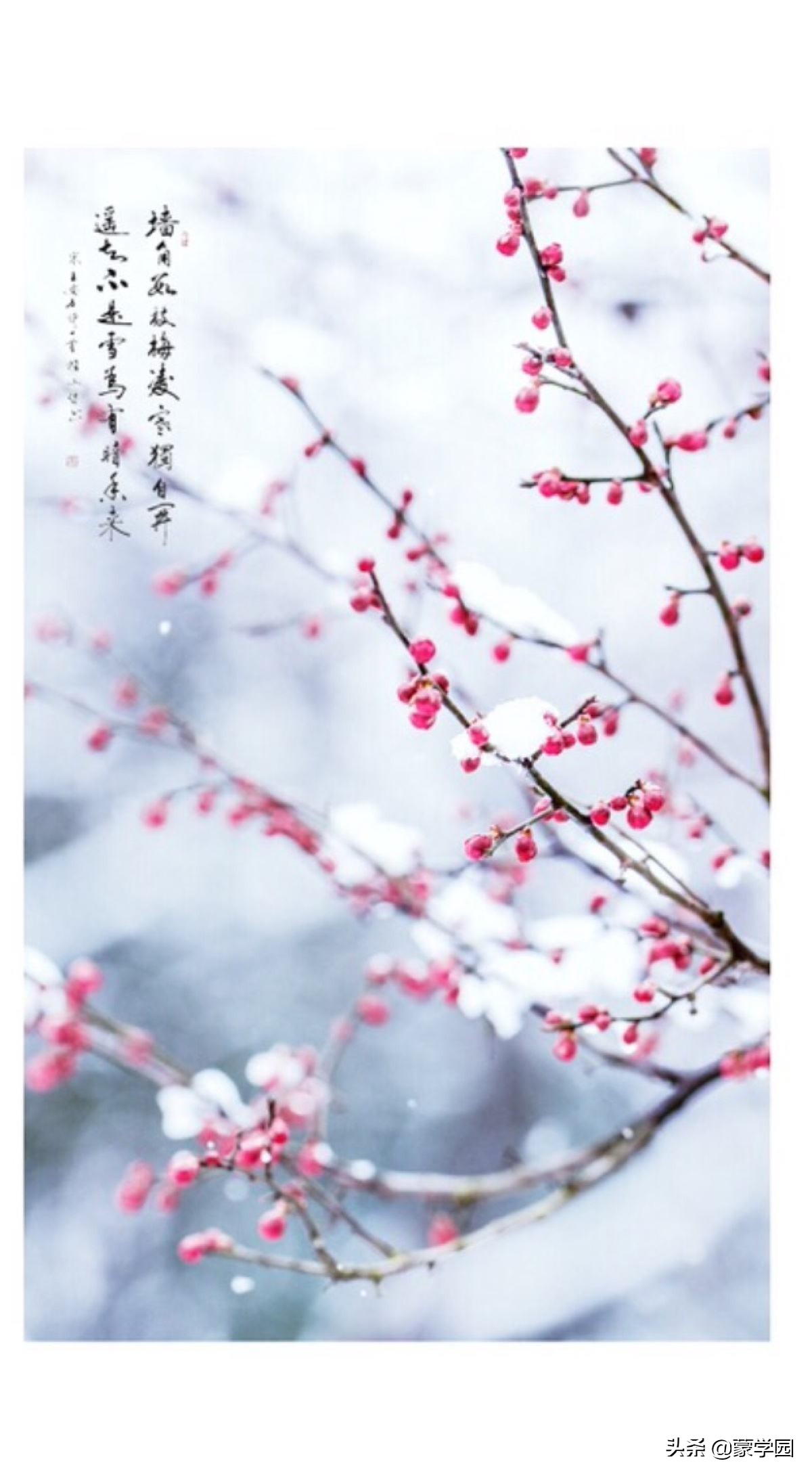 关于春夏秋冬的诗句（关于春夏秋冬的诗句古诗大全） 第13张