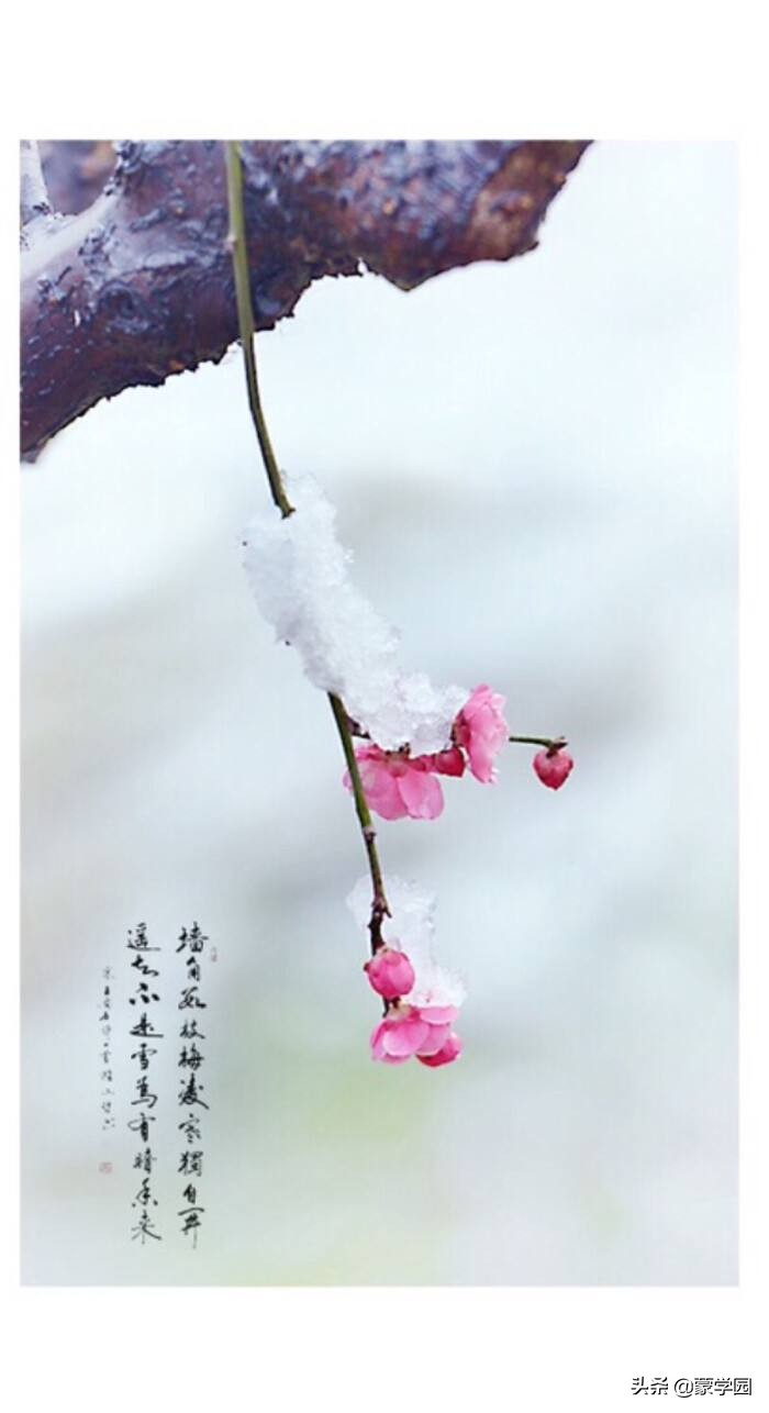 关于春夏秋冬的诗句（关于春夏秋冬的诗句古诗大全） 第15张
