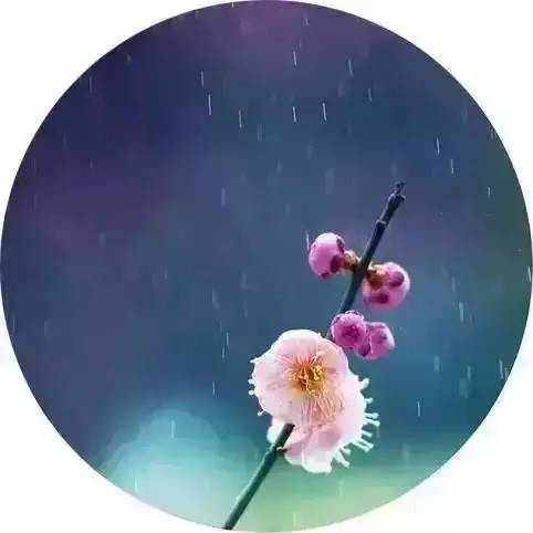 关于雨的诗句唯美（雨的句子短句唯美） 第1张