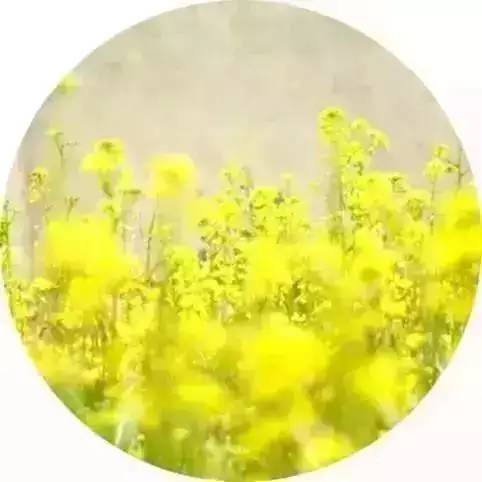 关于雨的诗句唯美（雨的句子短句唯美） 第7张