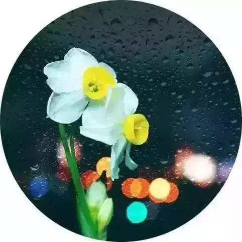 关于雨的诗句唯美（雨的句子短句唯美） 第9张