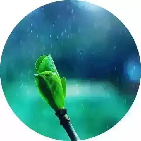 关于雨的诗句唯美（雨的句子短句唯美） 第11张