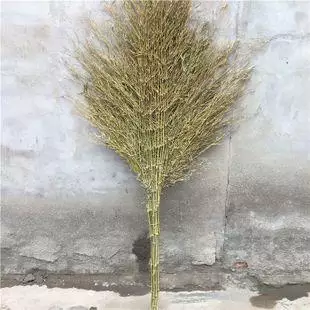 哪些农村人会率先致富？在农村如何致富赚钱 8 第15张
