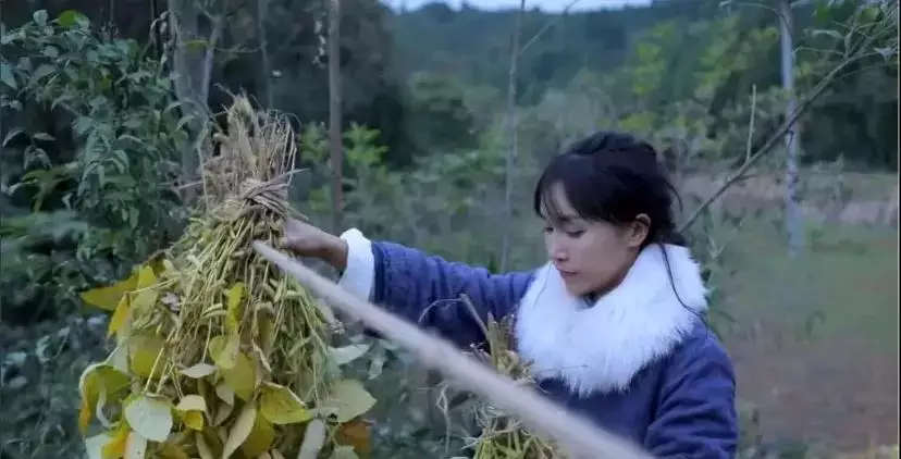 中国十大网红收入榜：李子柒22亿排第四，李佳琦46亿排第二 13 第25张