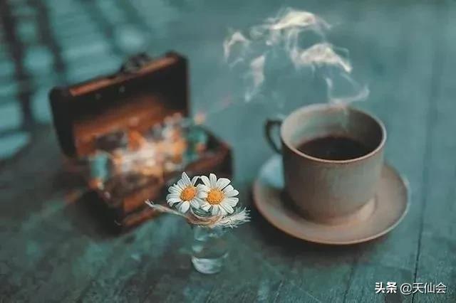 教师节感谢语简短（表达感谢师恩的短句） 第3张