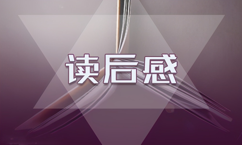 读老人与海鸥有感500字（老人与海鸥的感受心得） 第1张