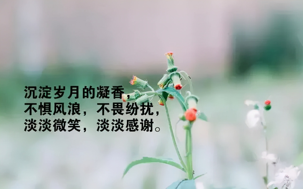 感慨人生的句子短语（感慨生活不易心酸无奈的句子） 第15张