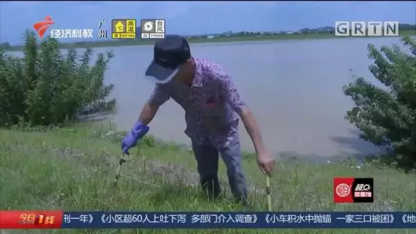 电蚯蚓犯法吗（电蚯蚓机多少钱一台） 8 第15张