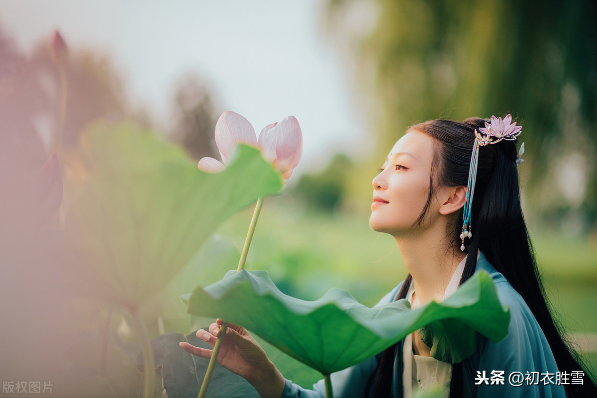 关于莲花的古诗句赏析（莲花有关的诗句及赏析） 第1张