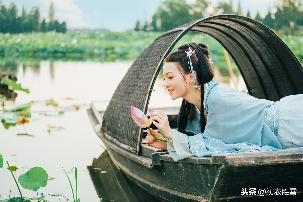 关于莲花的古诗句赏析（莲花有关的诗句及赏析） 第3张