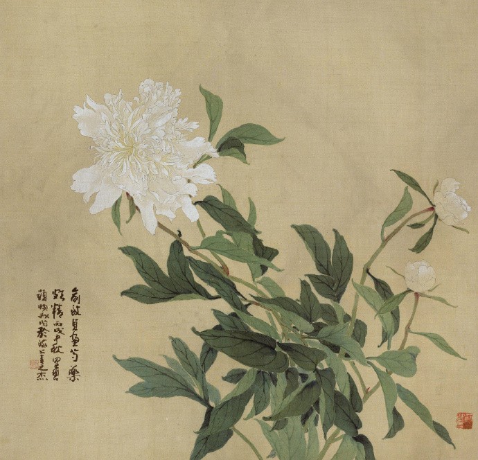 描写夜晚星空的诗句（形容夜晚满天繁星的诗） 第3张