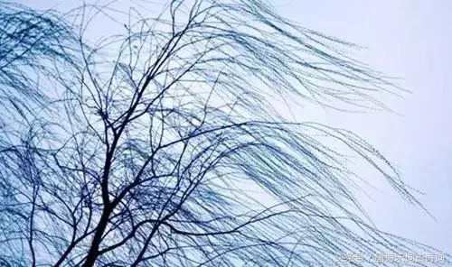 霜降的诗句有哪些（关于霜降的诗句古诗大全） 第13张
