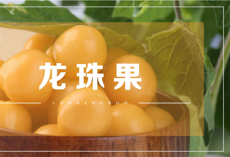 产自中国的野果，被哥伦比亚取名龙珠果，就价格倍增？ 第1张