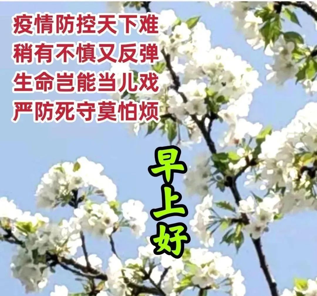 最新经典祝福短信（祝福短信大全简短） 第7张